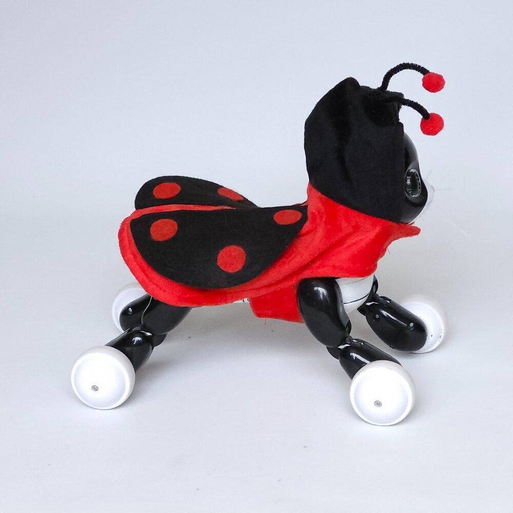 ADORABLE LADYBUG CAT Costume Antennae Velcro Closure Medium Cat